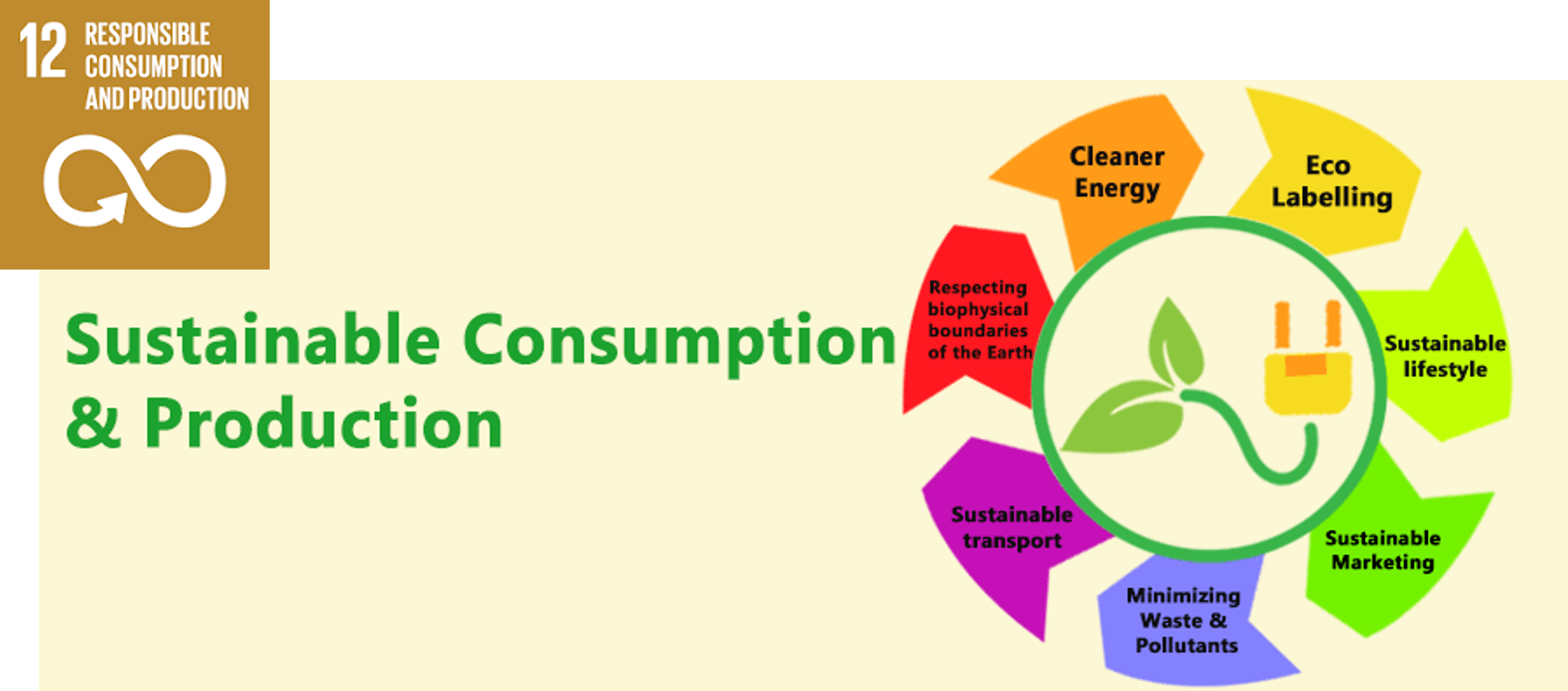 Sustainable Future SDG12